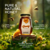 Raw Forest Honey (500 gms)